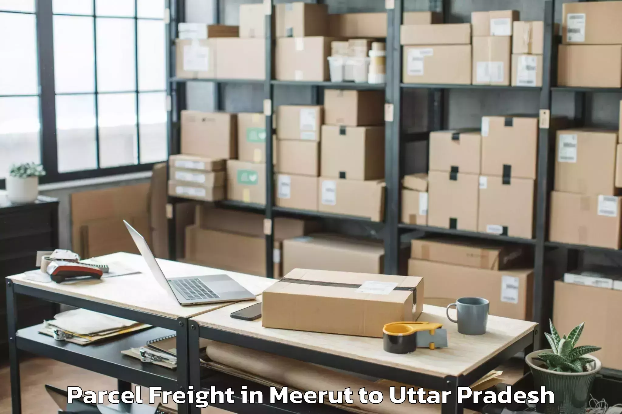 Top Meerut to Talbehat Parcel Freight Available